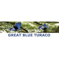 Great Blue Turaco logo - Similar company to Turaco Strategy Llc
