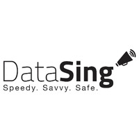 DataSing NZ logo - Similar company to Dragonfly It