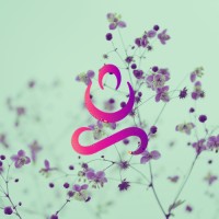 Schemata logo - Similar company to Clever Samurai