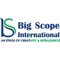Bigscope International logo - Similar company to Guardia Group