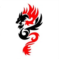 Dragon Security logo - Similar company to Dragon Precision Engineering