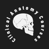 Clinical Anatomy Courses logo - Similar company to Anatomist