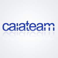 Caia Team Srl logo - Similar company to Syneo Tools