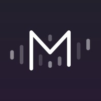 Maastr logo - Similar company to Datamontag