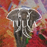 TULUA Full Service GmbH logo - Similar company to Doppelernte Gmbh