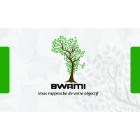BWAMI « Royaume des entrepreneurs » logo - Similar company to Ambassade Des Enfants Et Jeunes De La République (Aejrdc)