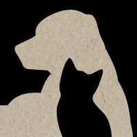 Friends For Life Animal Shelter logo - Similar company to Stoke Group