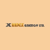 X Index Energy Ltd. logo - Similar company to Energypac Power Venture Limited