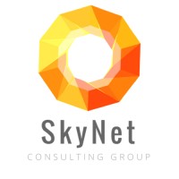 SkyNet Consulting Group logo - Similar company to Skynet