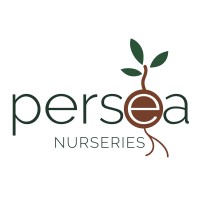 Persea Nurseries logo - Similar company to Sanus Agrosolutions