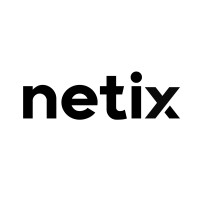 netix logo - Similar company to Netix