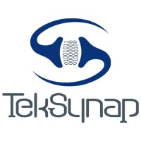 TekSynap logo - Similar company to Network Designs, Inc.