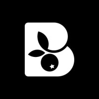 Blueberry Web logo - Similar company to Blueberry Web Services