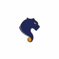 Conseil d'Administration ESCAE BASKETBALL TEAM logo - Similar company to Esad Professional
