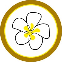 frangipanike logo - Similar company to Design Spaceplan Solutions Ltd