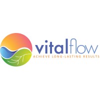 VitalFlow Consulting Co., Ltd logo - Similar company to Vitalflow