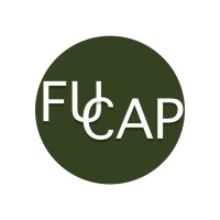 FuCap AS logo - Similar company to Benestad Solutions As