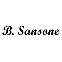 B. Sansone logo - Similar company to Fetchit