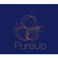PureUp logo - Similar company to Glacé Löööv