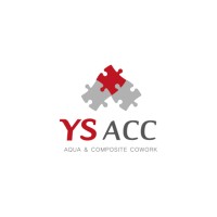YSACC logo - Similar company to Virtualmedia Entertainments