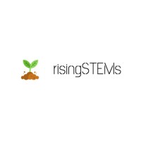 risingSTEMs logo - Similar company to 2Gathers