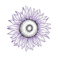 Violet Sunflower Solutions logo - Similar company to Flashing Red Light