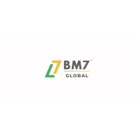 BM7 Global logo - Similar company to Bm7 Global
