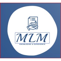 MLM Consulting Inc. logo - Similar company to Straight Arrow Consulting Llc