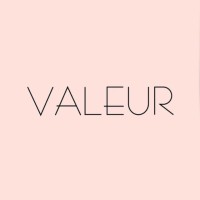 Valeur logo - Similar company to Vizenet