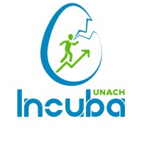 Incuba UNACH logo - Similar company to Laboratorio De Innovación (Rui-Nodo Centro)