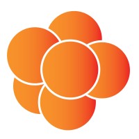 Kloudberry LLC logo - Similar company to Optronic