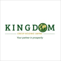 Kingdom Group Holding Limited logo - Similar company to Agema Analysts