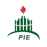 Pak international energy fuel trading logo - Similar company to Blocs-Me