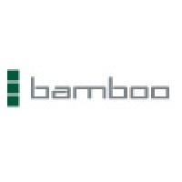 Bamboo Technologies logo - Similar company to Sharepointxperts, Llc