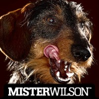 Misterwilson
