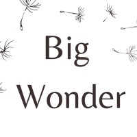 Big Wonder - The Tiny School logo - Similar company to Kiwi Collaborative