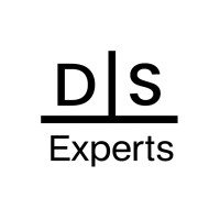 Digital Strategy Experts Pvt ltd logo - Similar company to Nexisparkx Technologies