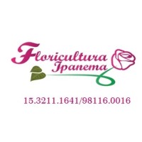 Floricultura Ipanema logo - Similar company to Florineve