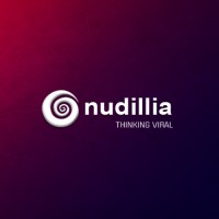 Nudillia logo - Similar company to Discover Digital Solutions Llc.