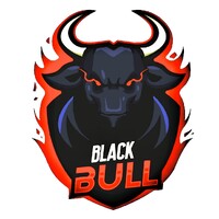 Black Bull Consultants logo - Similar company to Advantech Llc