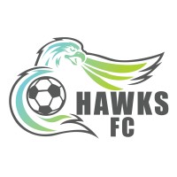 Hawks FC logo - Similar company to Fankind™