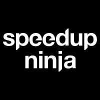 Speedup Ninja logo - Similar company to Bullseye.Pl