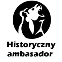 Historyczny ambasador logo - Similar company to Intelligence Network