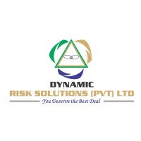 Dynamic Risk Solutions logo - Similar company to Cornerstone Risk Solutions