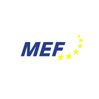 Munich European Forum e.V. logo - Similar company to Atlantic Forum