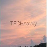 Techsavvy logo - Similar company to Softelnet