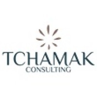 Tchamak Consulting logo - Similar company to Argus Taliance