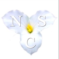 New School Center logo - Similar company to Coform