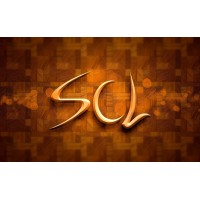 Soft Code Labs logo - Similar company to Softcode