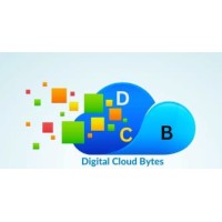 Digital Cloud Bytes logo - Similar company to Tech Blind